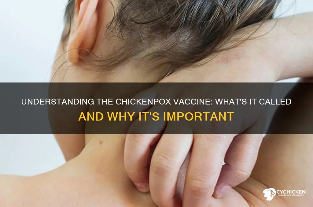 what is a chicken pocs shot called