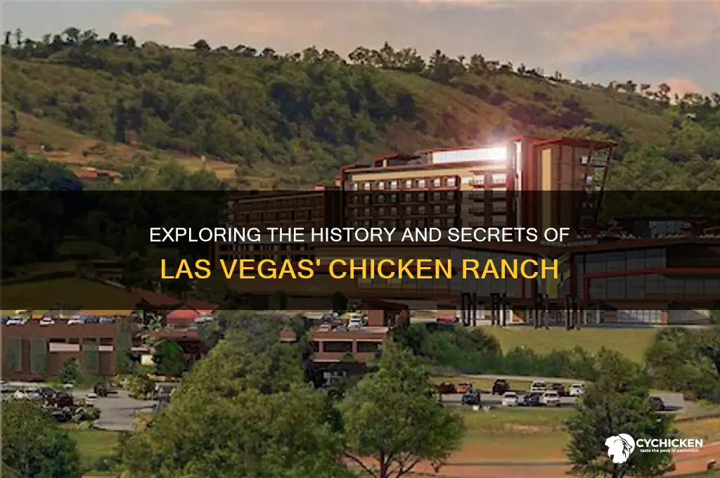 what is a chicken ranch in las vegas