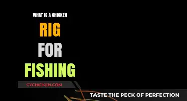 Mastering Chicken Rigs: A Beginner's Guide to Effective Fishing Techniques