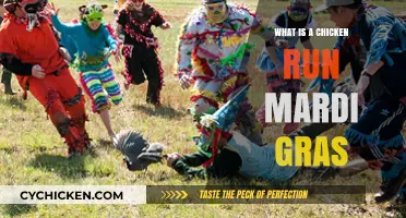 Chicken Run Mardi Gras: Unveiling the Festive Poultry Parade Tradition