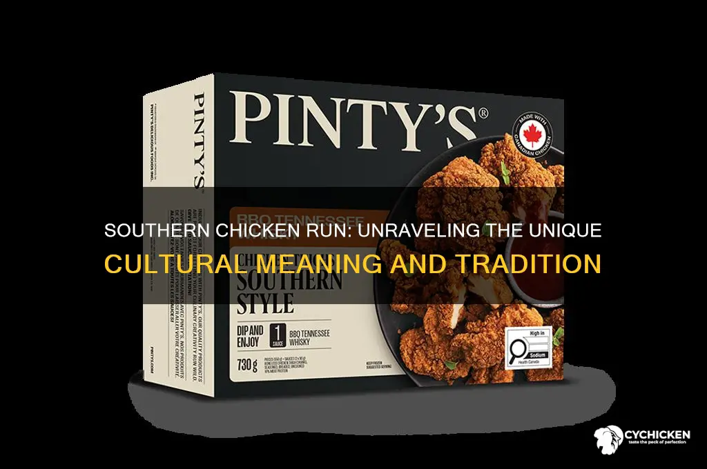 what is a chicken run southern style definition