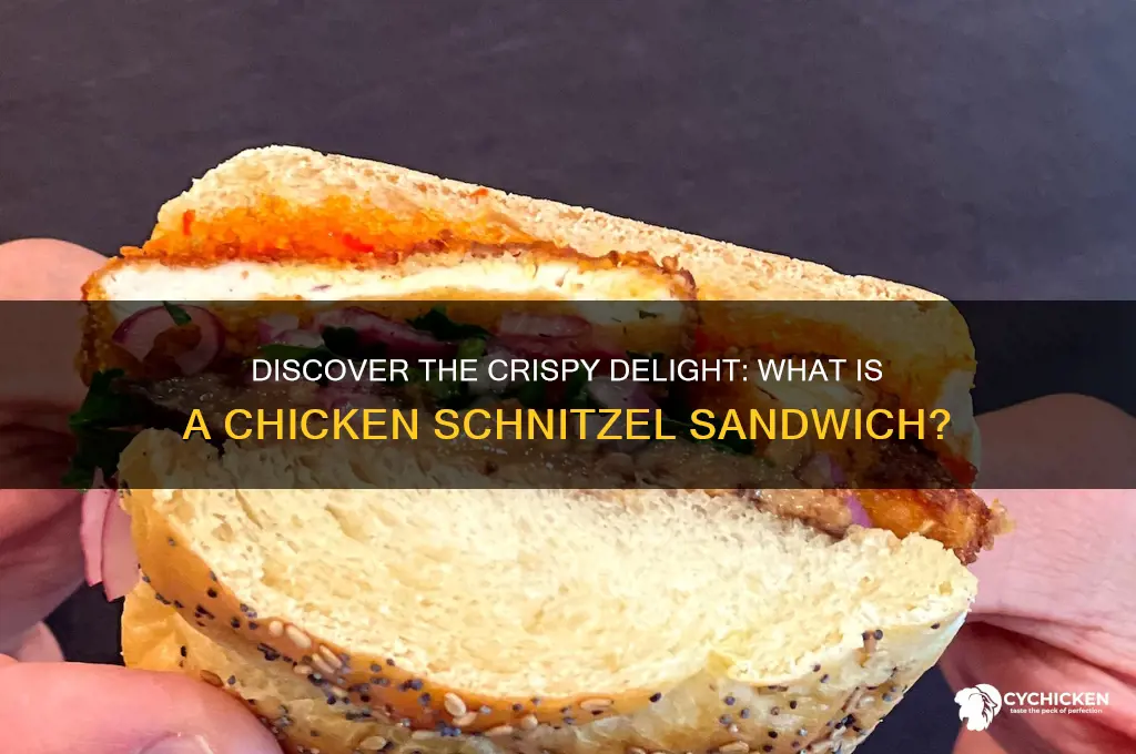 what is a chicken schnitzel sandwich