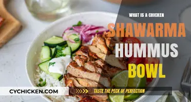 Discover the Delicious Chicken Shawarma Hummus Bowl Recipe
