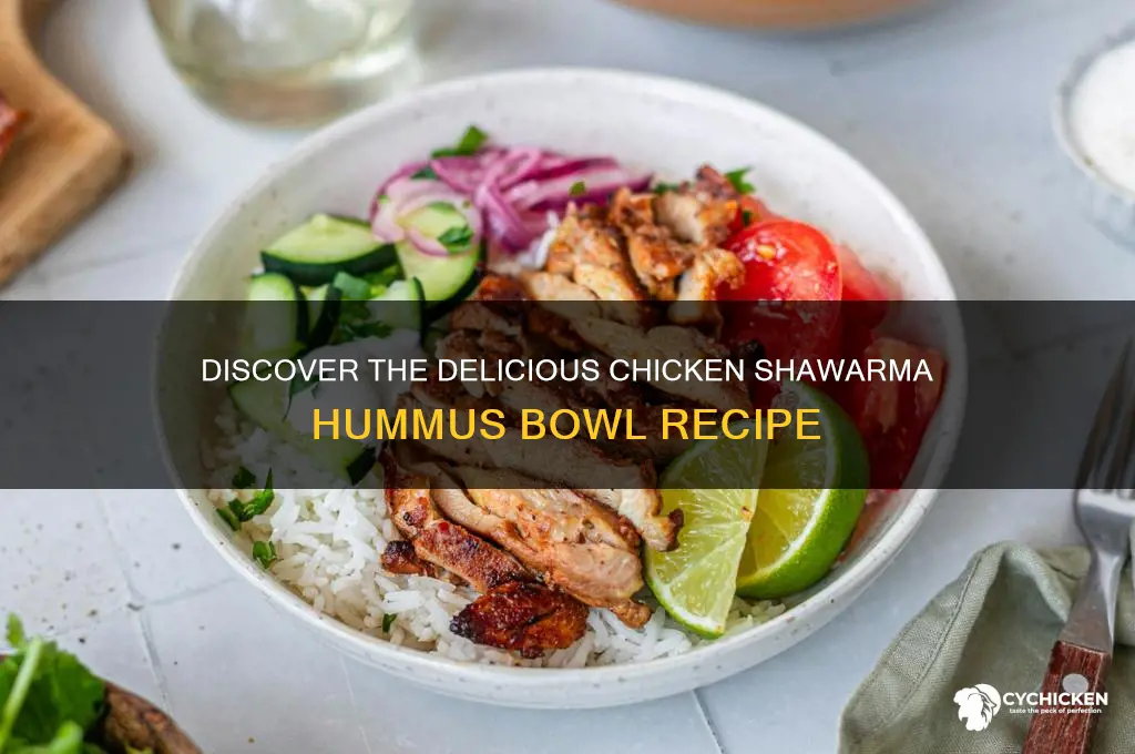 what is a chicken shawarma hummus bowl