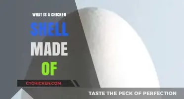 Unveiling the Composition of a Chicken Egg's Protective Shell