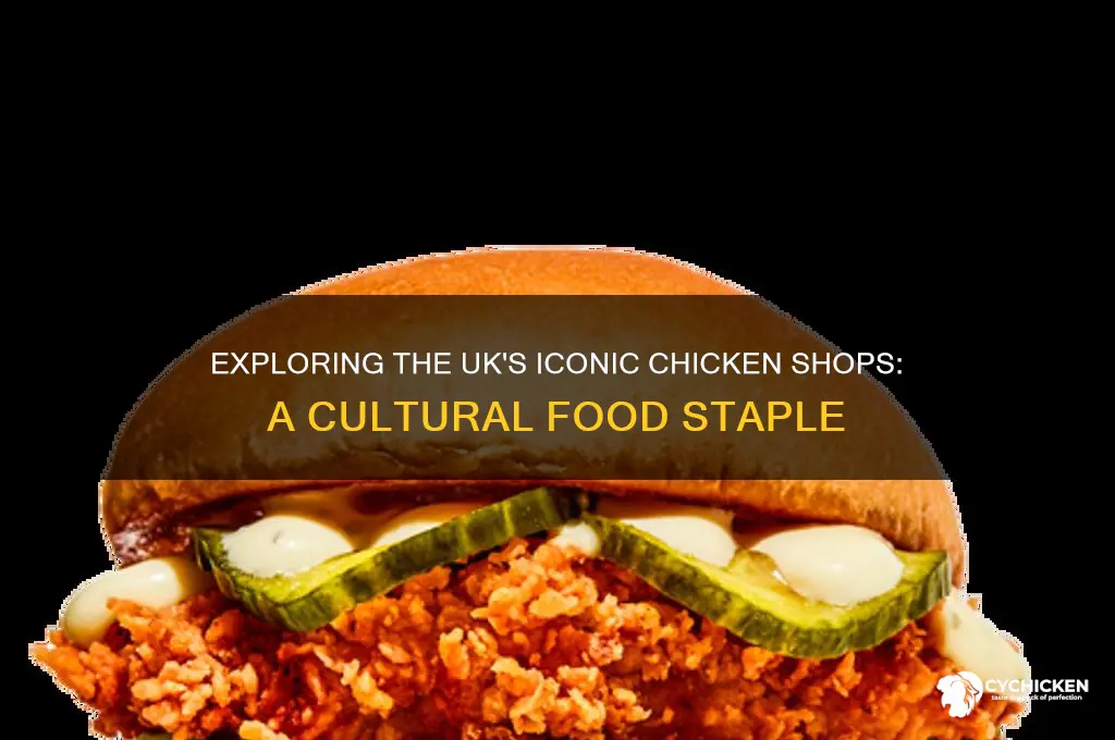 what is a chicken shop in the uk