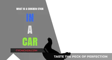 What is a Chicken Stick in a Car? Explained Simply