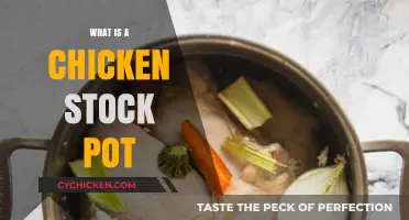 Simmering Comfort: The Essential Guide to Chicken Stock Pot