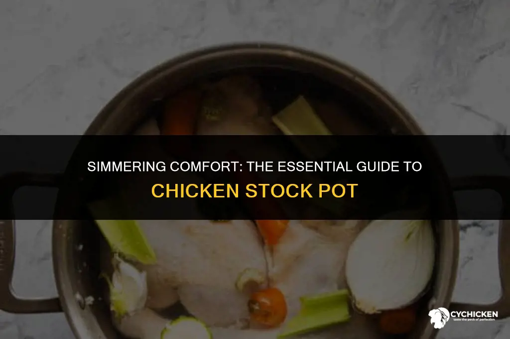 what is a chicken stock pot