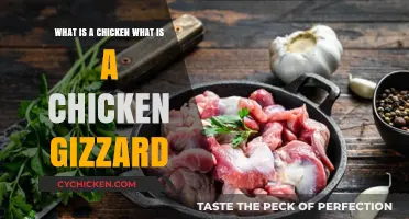 Chicken Gizzards: What Are They and Are They Edible?