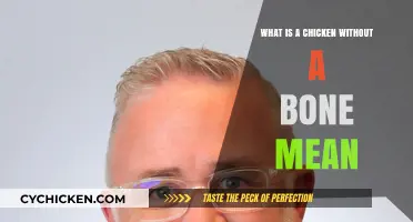 Understanding the Meaning of a Chicken Without a Bone