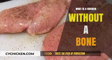 Exploring the Mystery: What is a Chicken Without a Bone?