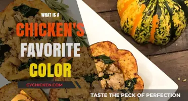 Unveiling the Hue: What Color Do Chickens Love Most?