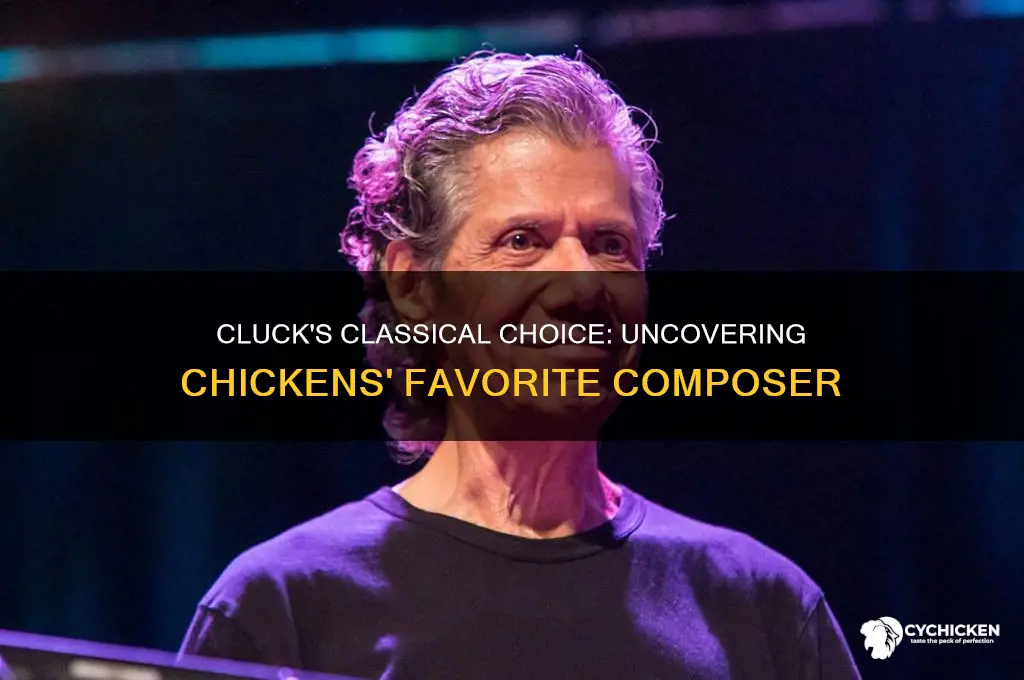 what is a chicken