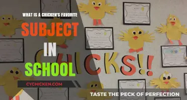 Why Chickens Love Math in School