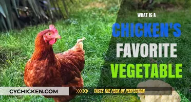 Clucking Over Greens: Discovering Chickens' Top Vegetable Picks
