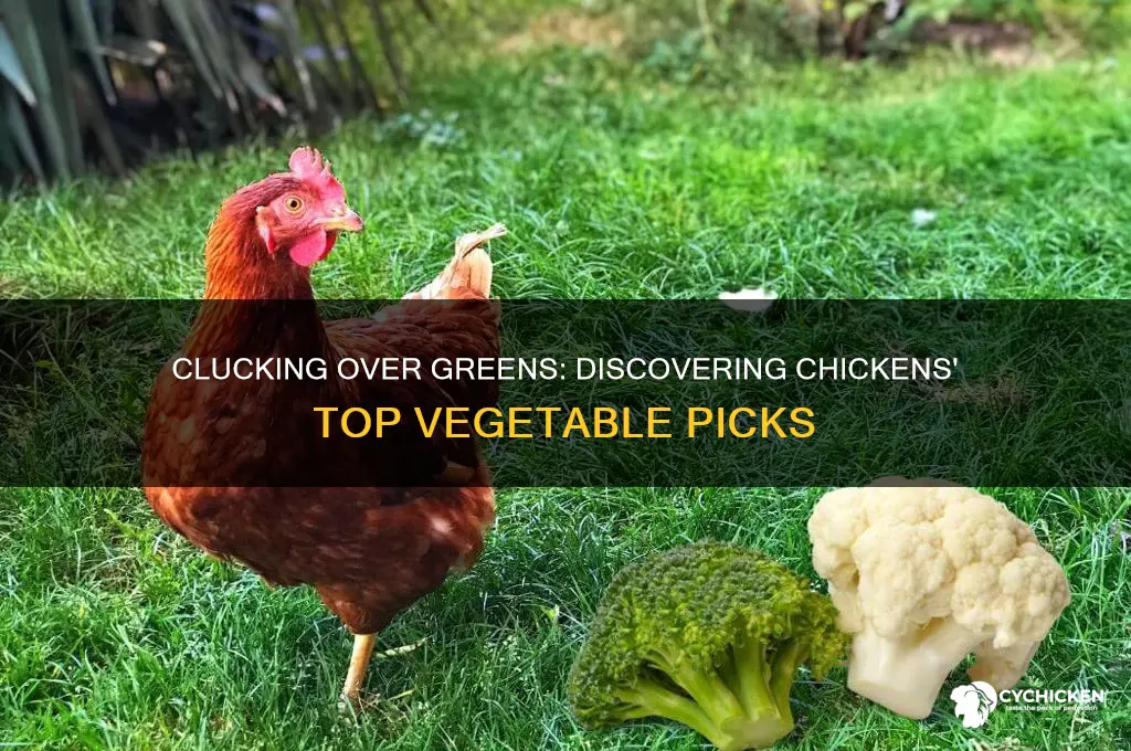 what is a chicken