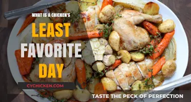 Why Sundays Are a Chicken's Least Favorite Day of the Week