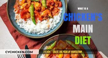 Understanding a Chicken's Diet: Essential Foods for Healthy Birds
