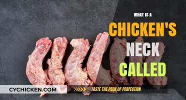 Unveiling the Mystery: What is a Chicken's Neck Actually Called?