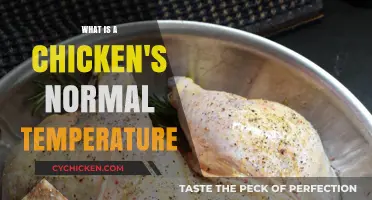Understanding a Chicken's Normal Temperature: Essential Care Guide