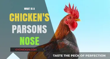 Understanding the Chicken's Parson's Nose: Anatomy and Culinary Uses