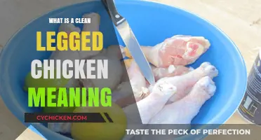 Understanding Clean Legged Chickens: Definition, Benefits, and Care Tips
