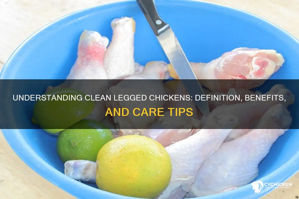 what is a clean legged chicken meaning