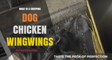 Creeping Dog Chicken Wingwings: Unveiling the Mystery Behind This Unique Phenomenon