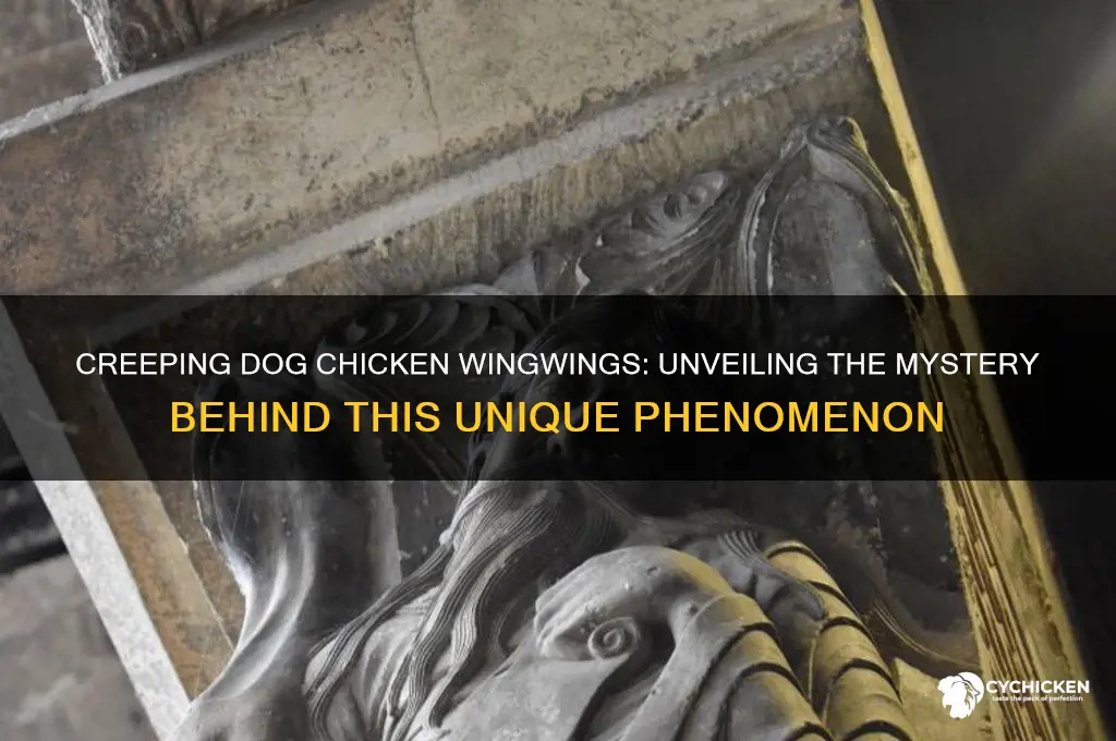 what is a creeping dog chicken wingwings