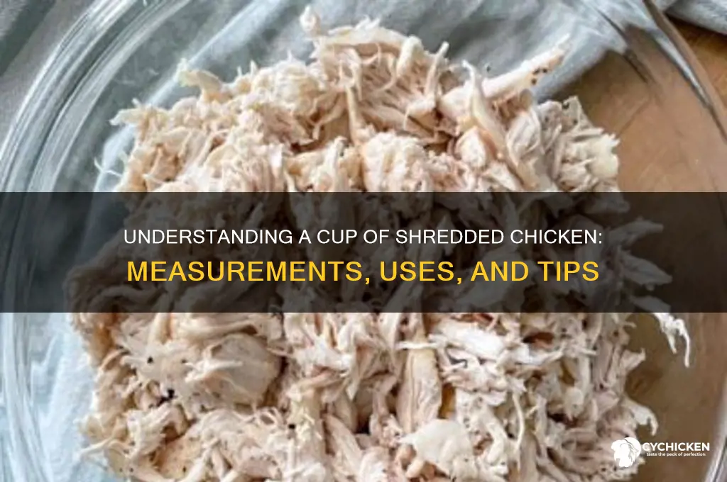 what is a cup of shredded chicken