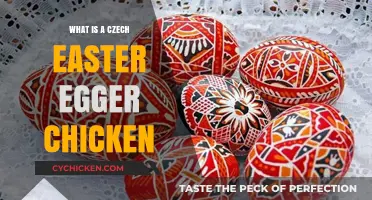 Discover the Unique Czech Easter Egger Chicken Breed and Its Traits