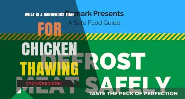 Avoid Food Poisoning: The Risky Thawing Time for Chicken Explained