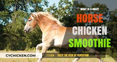 Understanding Draft Horse Chicken Smoothie: A Unique Blend Explained