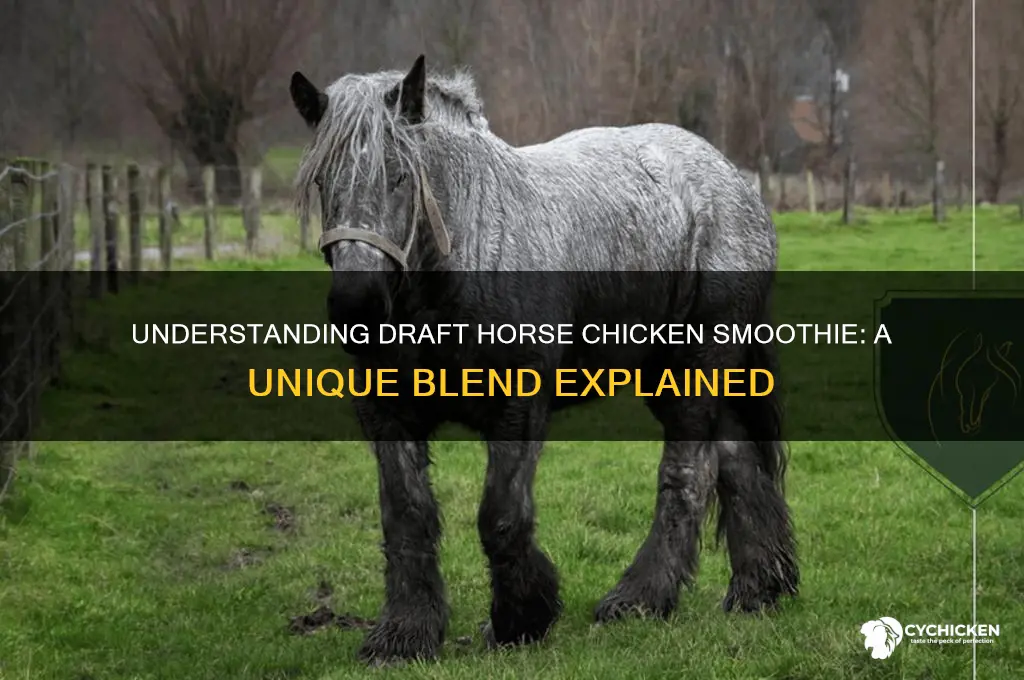 what is a draft horse chicken smoothie
