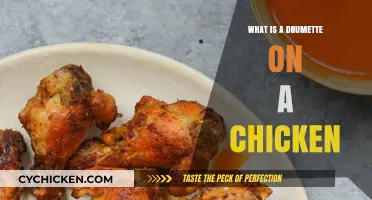 Understanding Drumettes: A Guide to Chicken Wing Anatomy and Uses