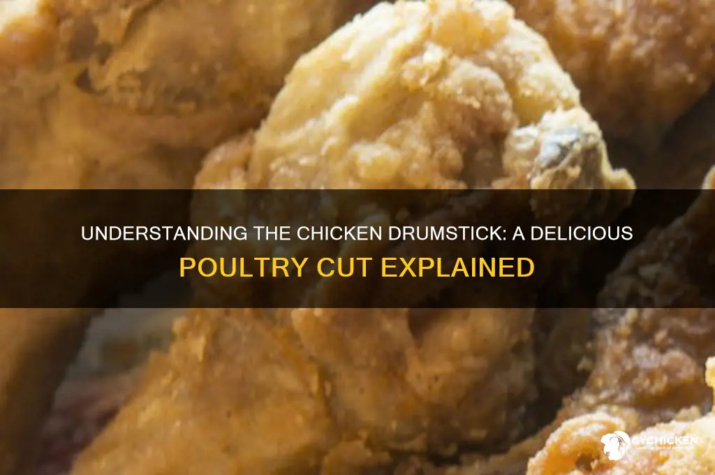 what is a drumstick of the chicken