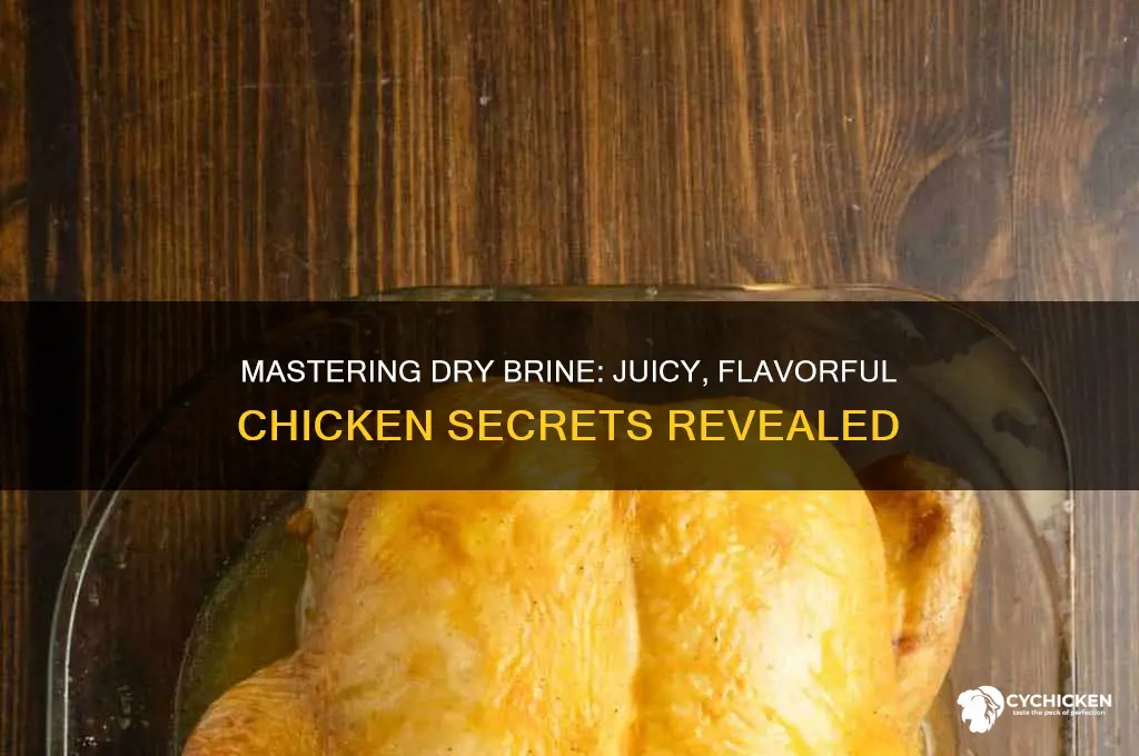 what is a dry brine for chicken