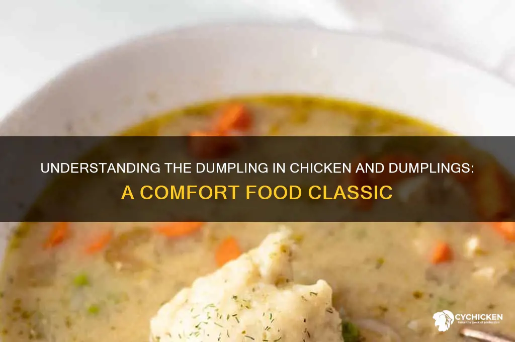 what is a dumpling in chicken and dumplings