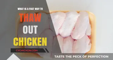 Quickly Defrost Chicken: The Best Techniques