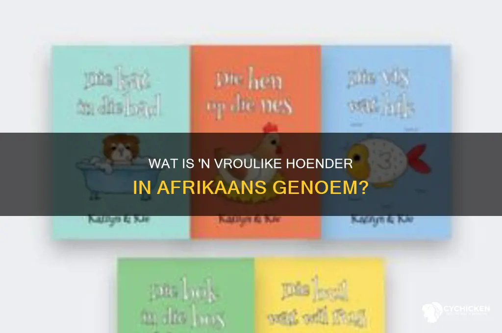 what is a female chicken called in afrikaans