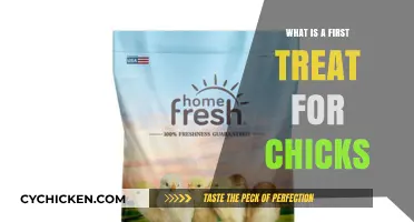 Essential First Treats for Chicks: Boosting Growth and Health Naturally