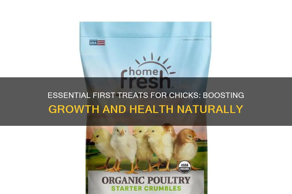 what is a first treat for chicks