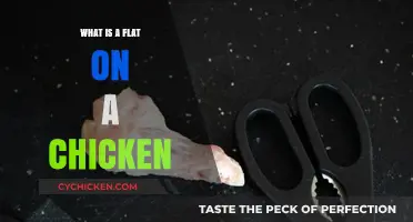 Understanding Chicken Anatomy: What Is a Flat and Its Role?
