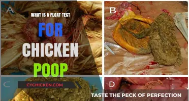 Understanding the Float Test: A Simple Method to Analyze Chicken Poop