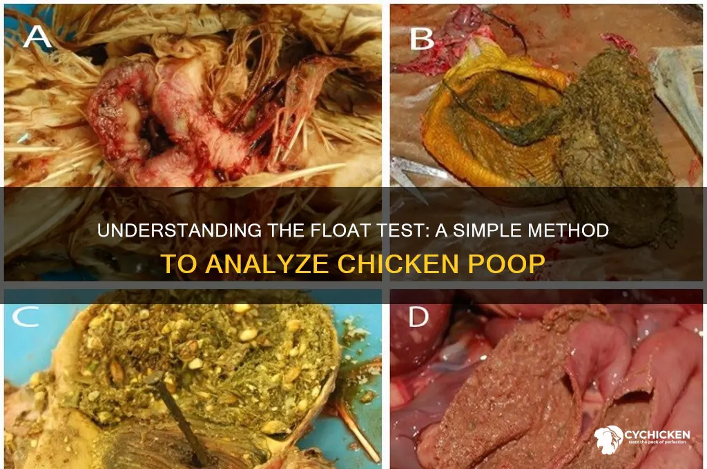 what is a float test for chicken poop
