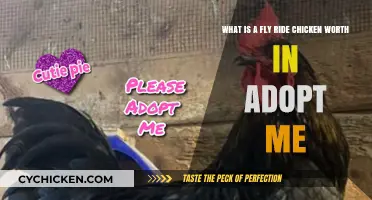 Fly Ride Chicken's Worth in Adopt Me