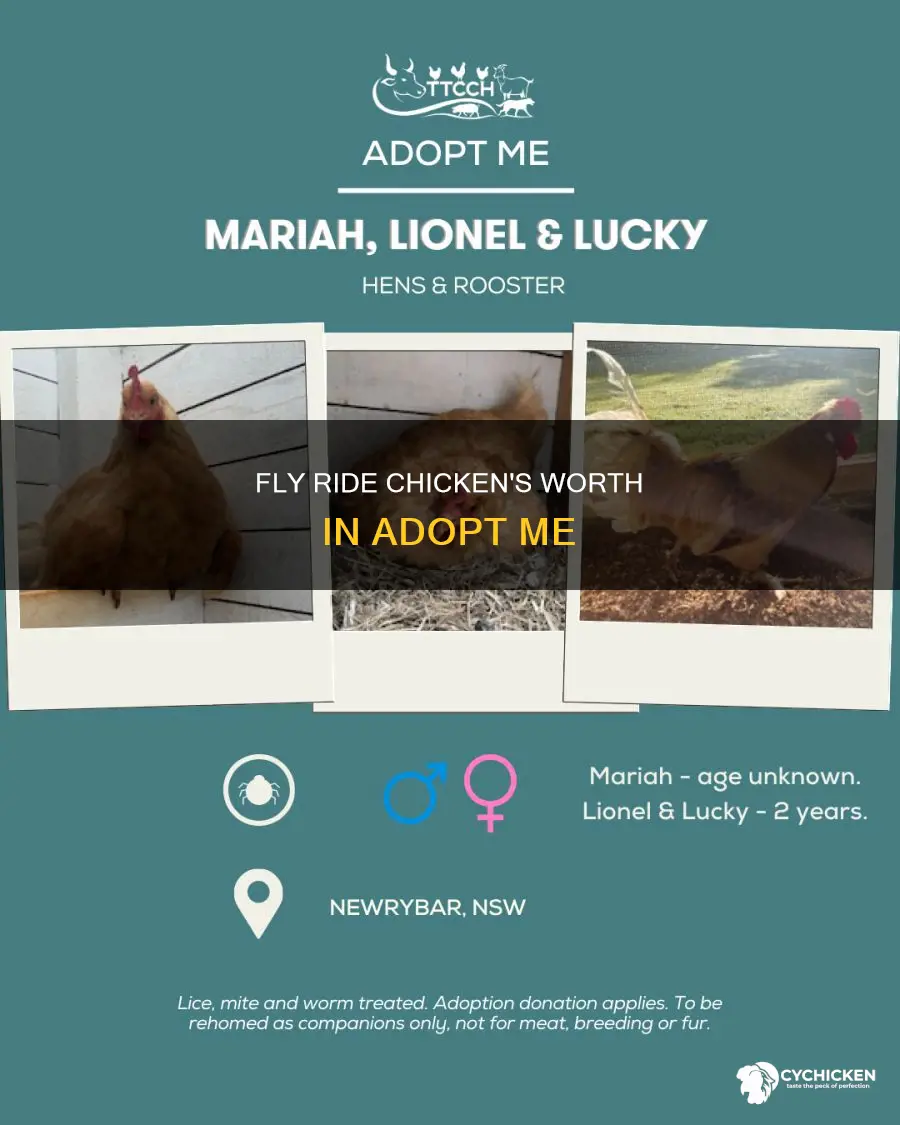 what is a fly ride chicken worth in adopt me