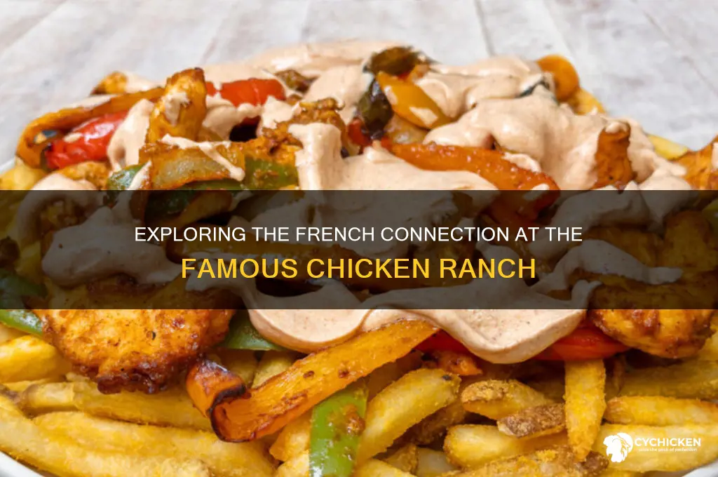 what is a french at the chicken ranch