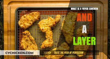 Understanding Fryer Chickens and Layers: Poultry Roles Explained